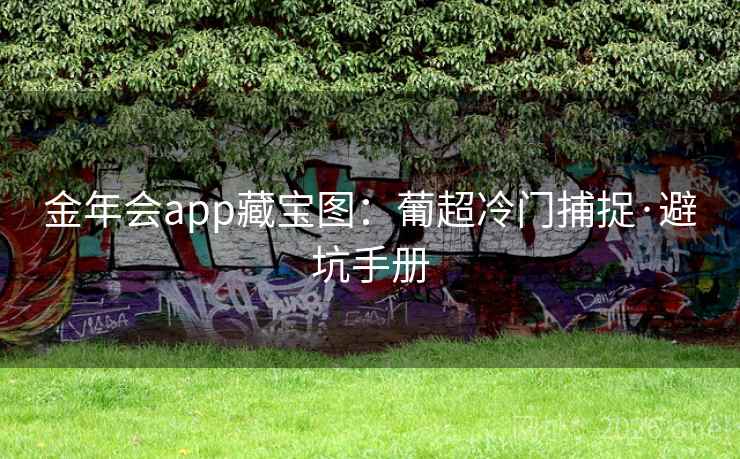 金年会app藏宝图：葡超冷门捕捉·避坑手册  第1张