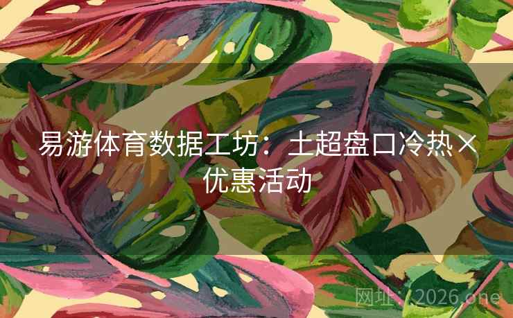 易游体育数据工坊：土超盘口冷热×优惠活动  第2张