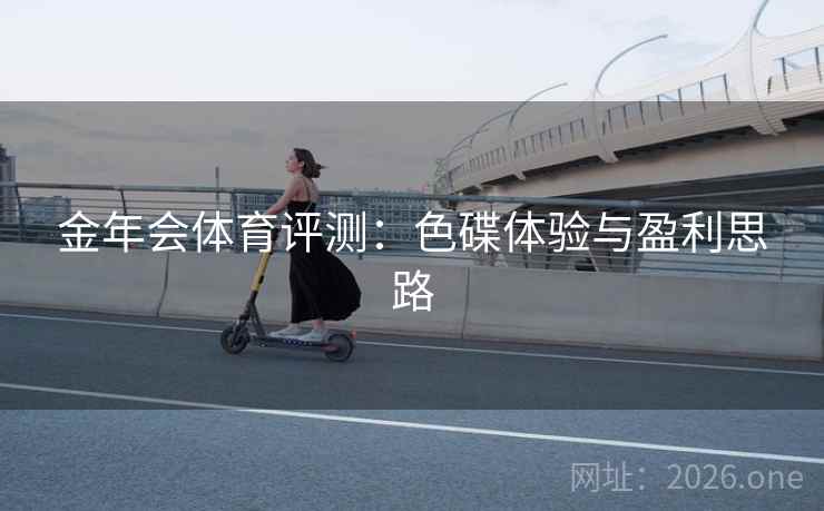 金年会体育评测：色碟体验与盈利思路  第1张