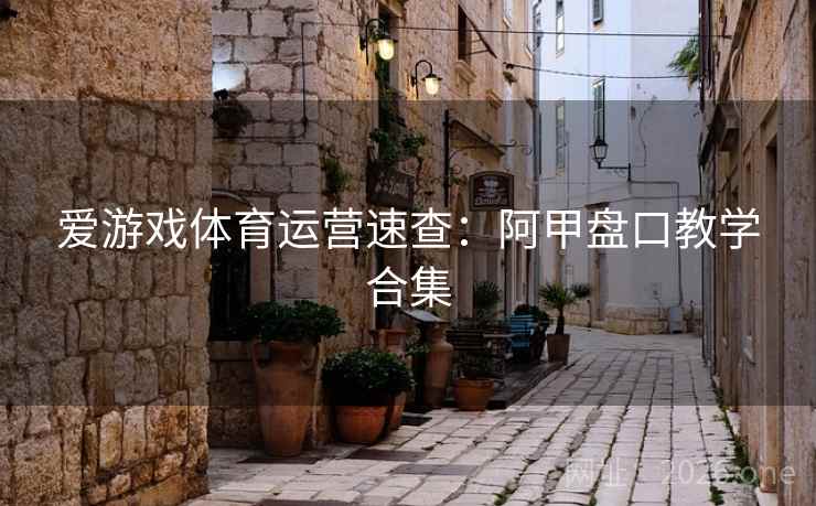 爱游戏体育运营速查：阿甲盘口教学合集  第1张