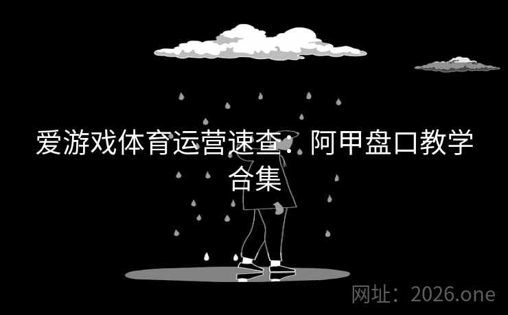 爱游戏体育运营速查：阿甲盘口教学合集  第2张