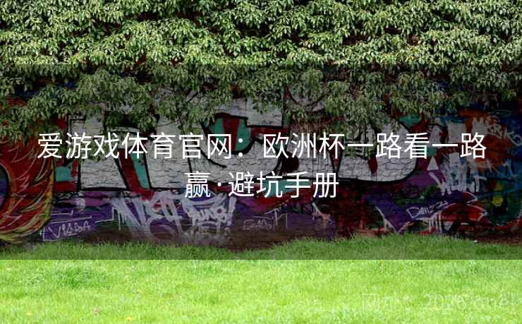 爱游戏体育官网：欧洲杯一路看一路赢·避坑手册