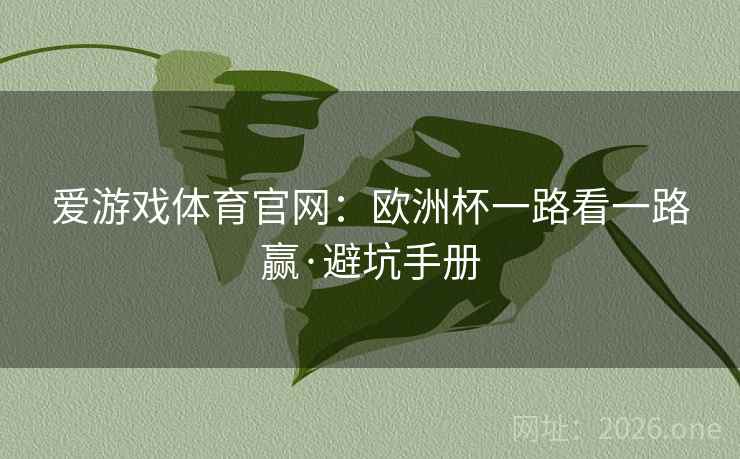 爱游戏体育官网：欧洲杯一路看一路赢·避坑手册