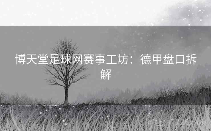 博天堂足球网赛事工坊：德甲盘口拆解  第1张