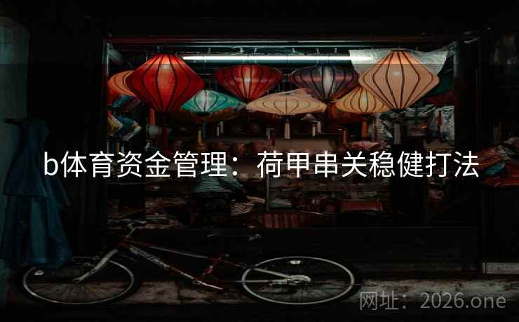 b体育资金管理：荷甲串关稳健打法  第1张