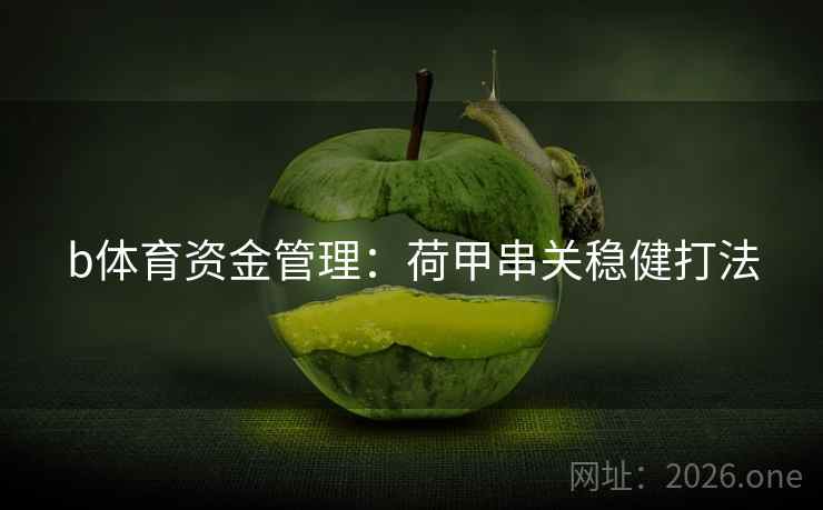 b体育资金管理：荷甲串关稳健打法  第2张