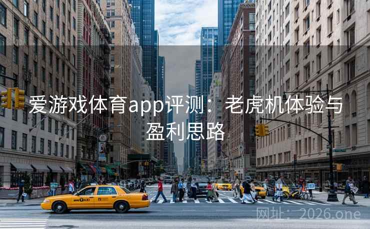 爱游戏体育app评测：老虎机体验与盈利思路  第2张