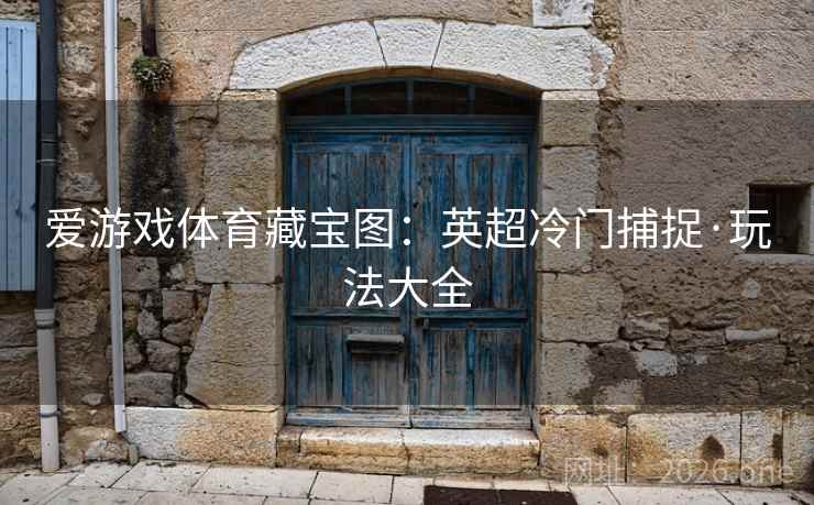 爱游戏体育藏宝图：英超冷门捕捉·玩法大全  第2张