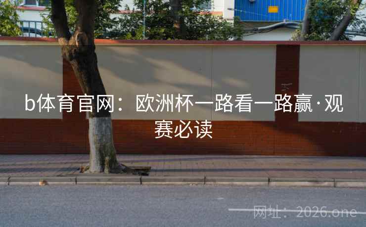 b体育官网：欧洲杯一路看一路赢·观赛必读  第2张