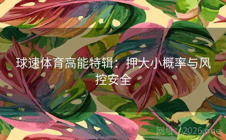 球速体育高能特辑：押大小概率与风控安全  第2张