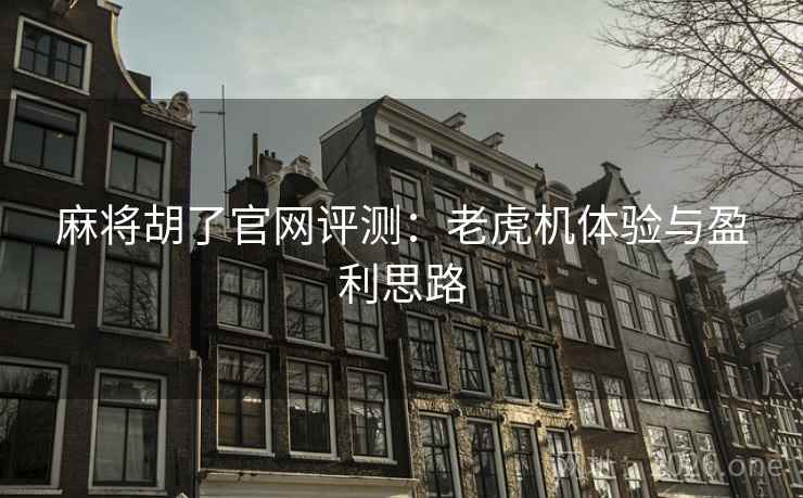 麻将胡了官网评测：老虎机体验与盈利思路  第2张