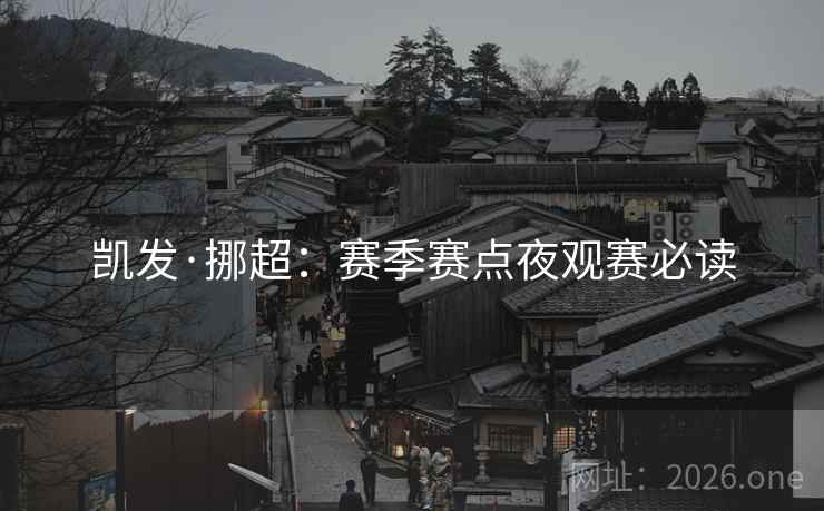 凯发·挪超：赛季赛点夜观赛必读  第2张
