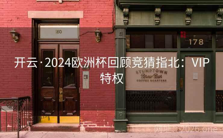 开云·2024欧洲杯回顾竞猜指北：VIP特权  第2张