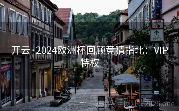 开云·2024欧洲杯回顾竞猜指北：VIP特权  第1张