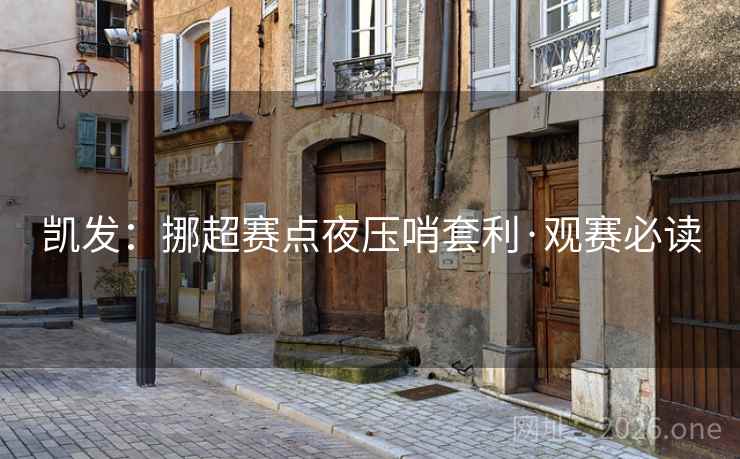 凯发：挪超赛点夜压哨套利·观赛必读  第2张