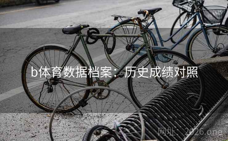 b体育数据档案：历史成绩对照  第2张