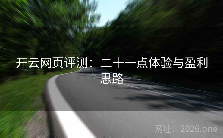 开云网页评测：二十一点体验与盈利思路  第2张