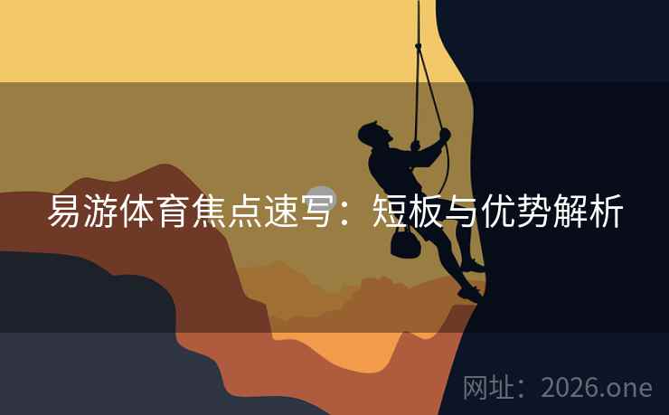 易游体育焦点速写：短板与优势解析  第1张