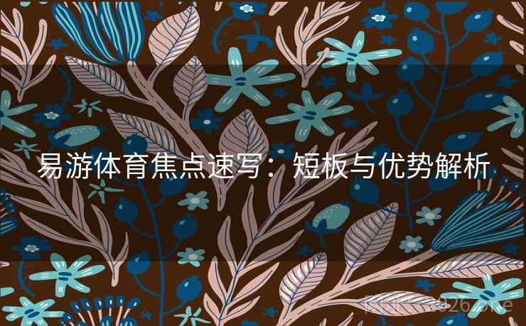 易游体育焦点速写：短板与优势解析  第2张