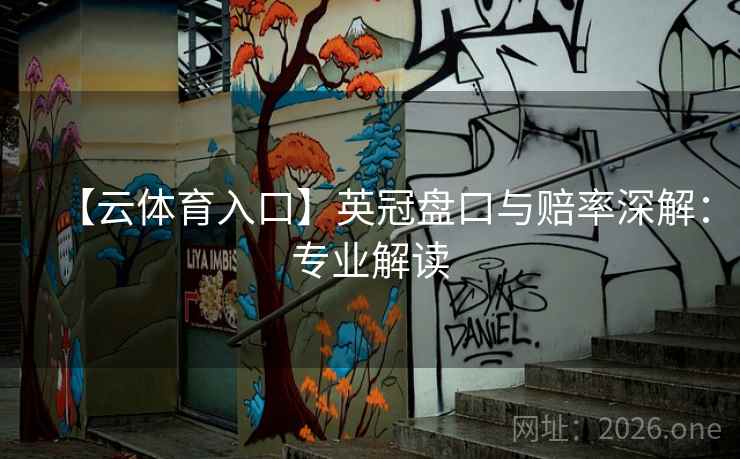 【云体育入口】英冠盘口与赔率深解：专业解读  第1张