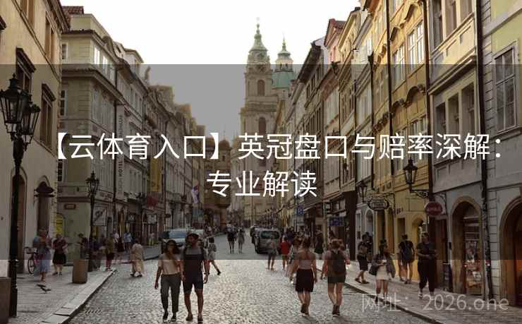 【云体育入口】英冠盘口与赔率深解：专业解读  第2张