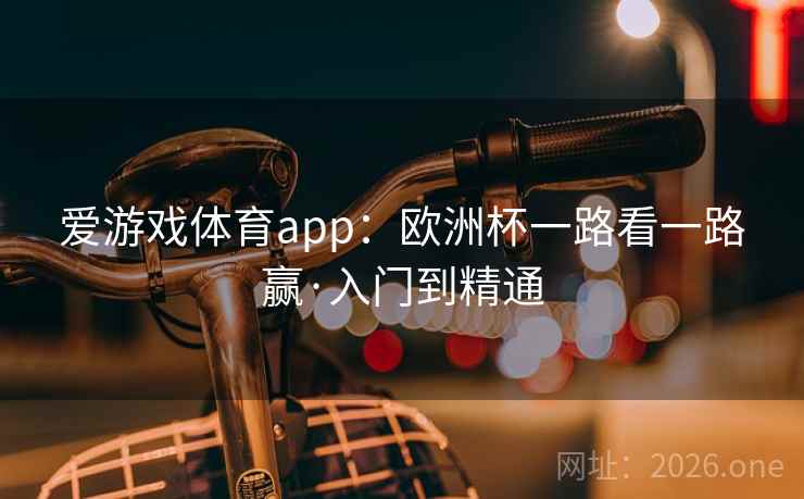 爱游戏体育app：欧洲杯一路看一路赢·入门到精通  第2张
