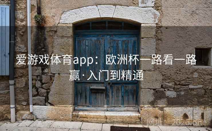爱游戏体育app：欧洲杯一路看一路赢·入门到精通  第1张