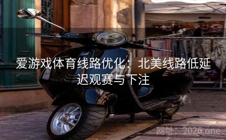爱游戏体育线路优化：北美线路低延迟观赛与下注  第1张