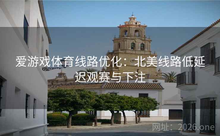 爱游戏体育线路优化：北美线路低延迟观赛与下注  第2张