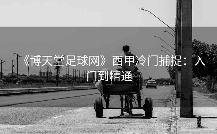 《博天堂足球网》西甲冷门捕捉：入门到精通  第2张