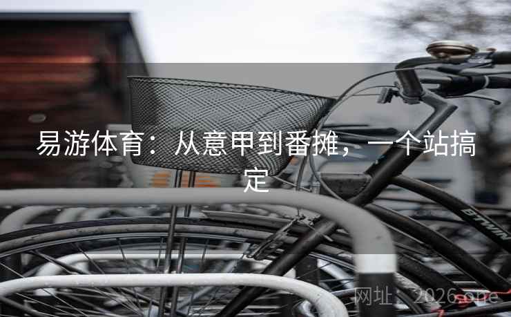 易游体育：从意甲到番摊，一个站搞定  第1张