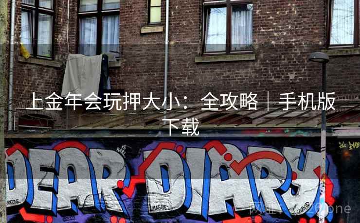 上金年会玩押大小：全攻略｜手机版下载  第2张